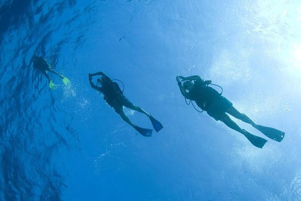 un grupo de personas nadando en el agua