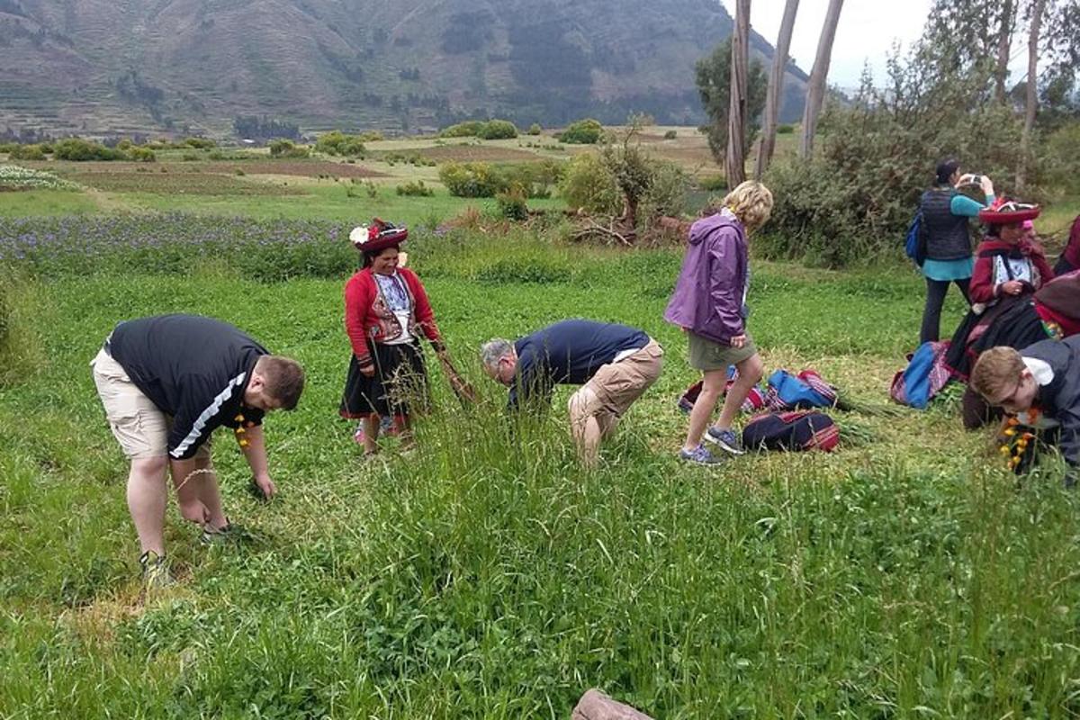 un grup de oameni într-un câmp cu iarbă înaltă