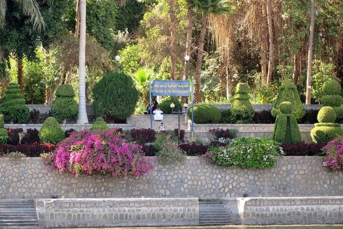 un jardí amb un ram d'arbustos i flors