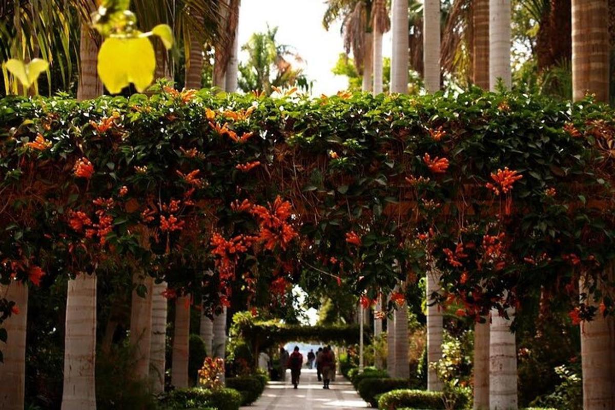 una filera d'arbres amb flors vermelles en un jardí