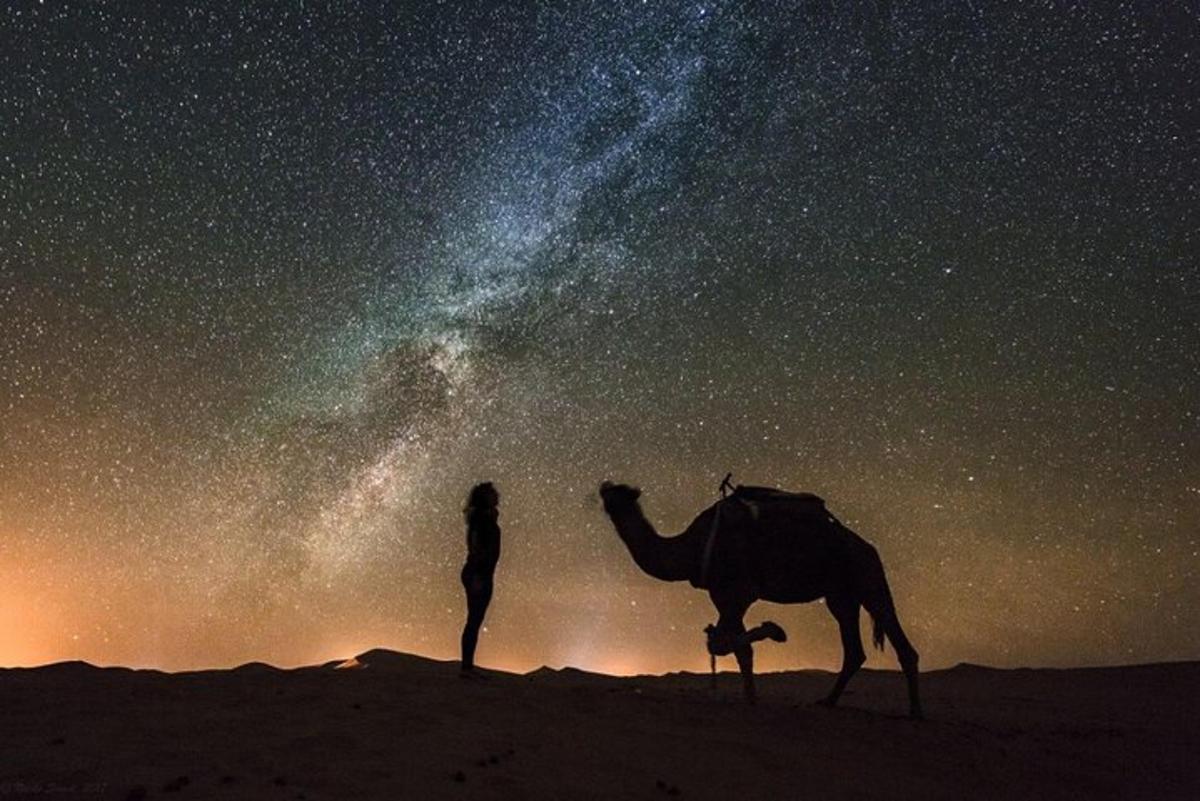 una donna in piedi accanto a un cammello nel deserto