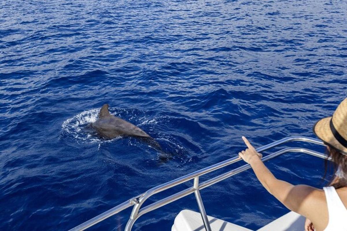 uma mulher apontando para um golfinho em um barco