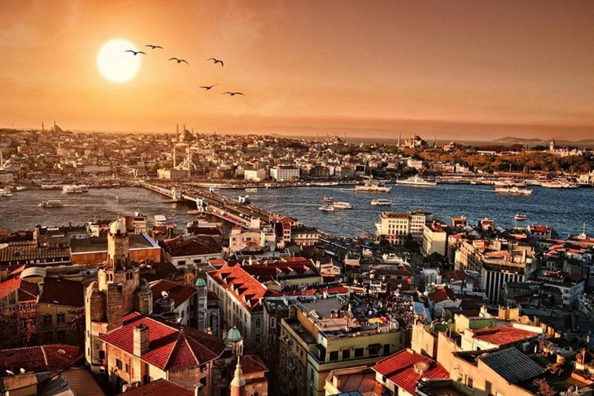 a view of a city with birds flying over the water