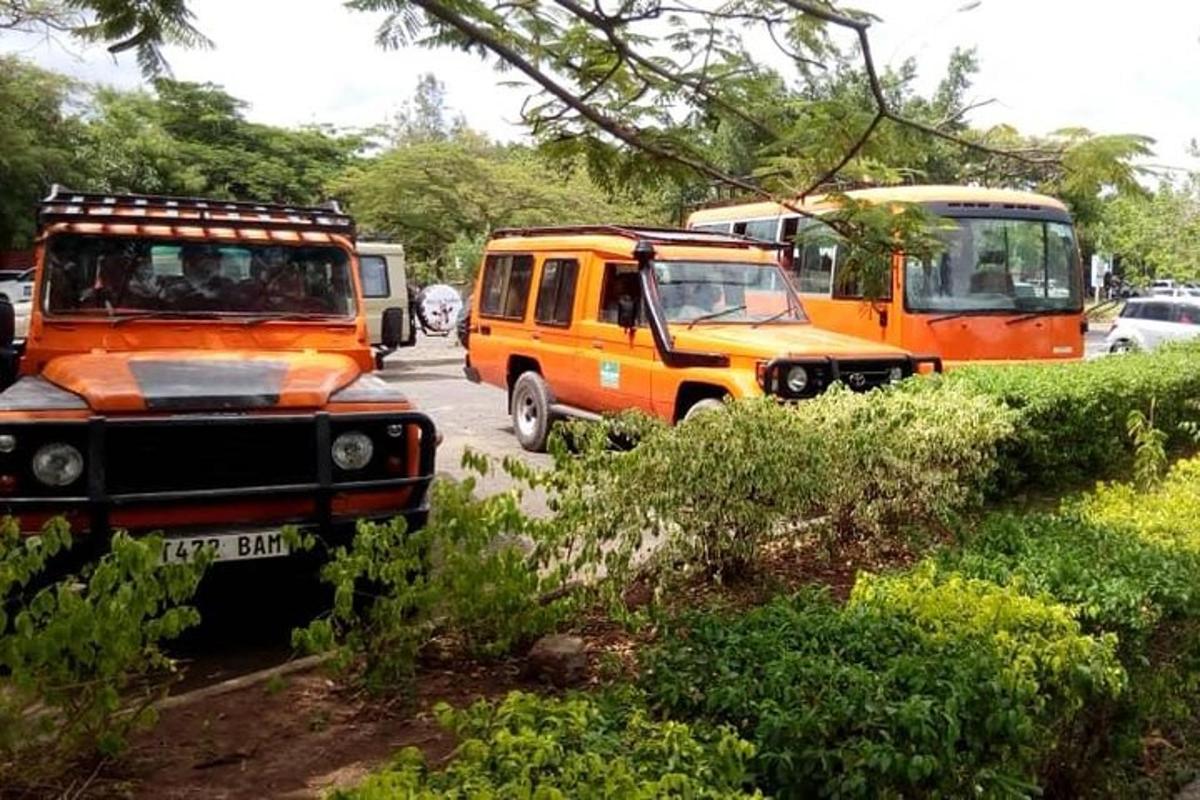 sekumpulan kenderaan yang diletakkan di tepi jalan