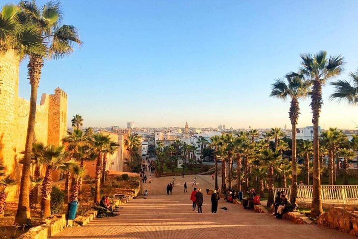 a group of people walking down a street with palm trees
