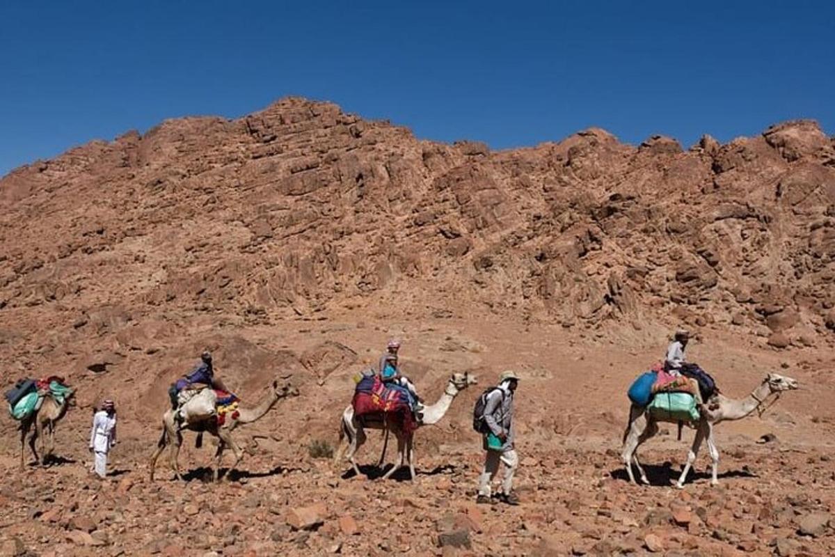 un gruppo di persone a cavallo di cammelli nel deserto