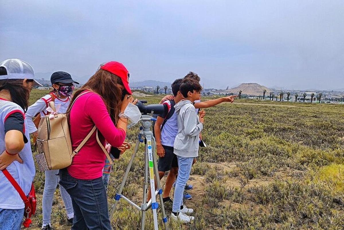 Un grupo de personas mirando algo en un campo.