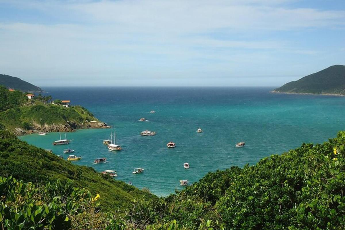 a group of boats in a large body of water