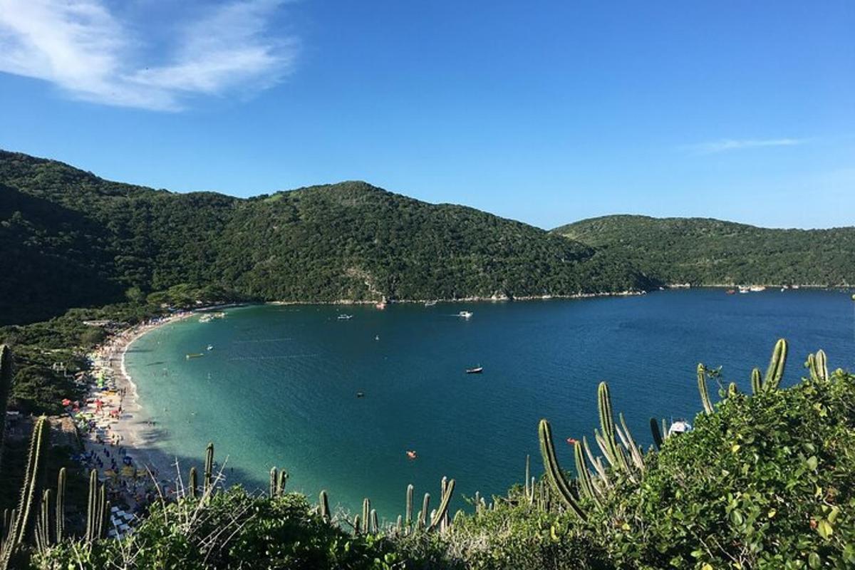 una vista di una spiaggia con barche in acqua