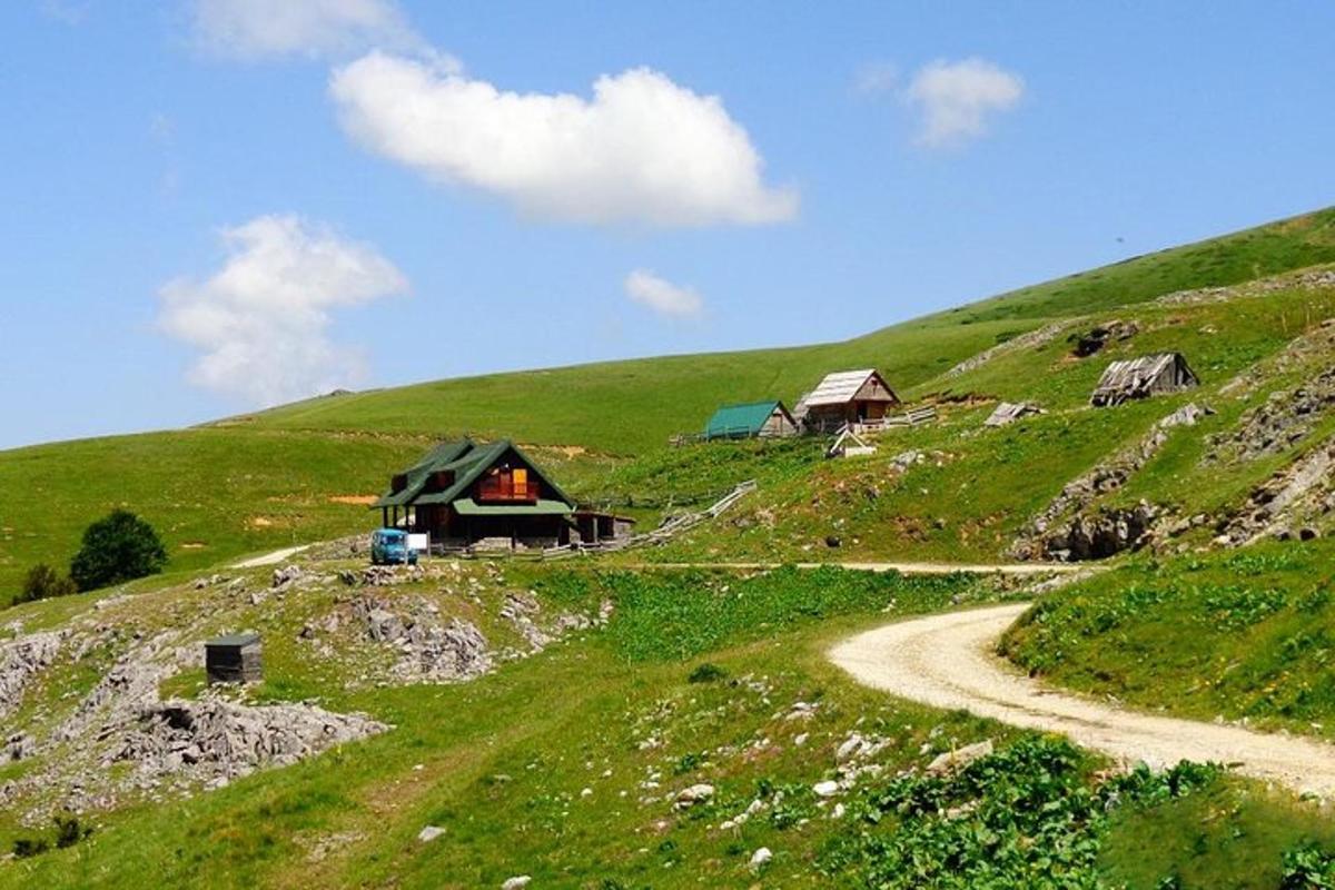 zelený kopec s domy a prašnou cestou