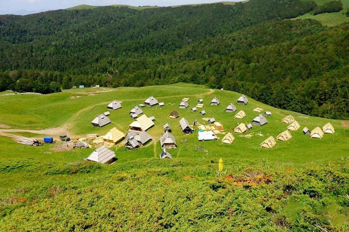 un grup de tendes en un camp verd