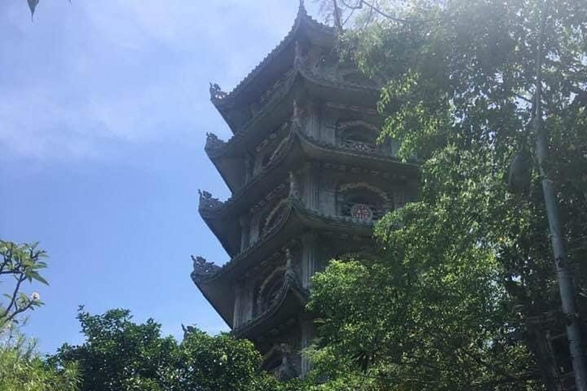 un edifici alt amb arbres al davant
