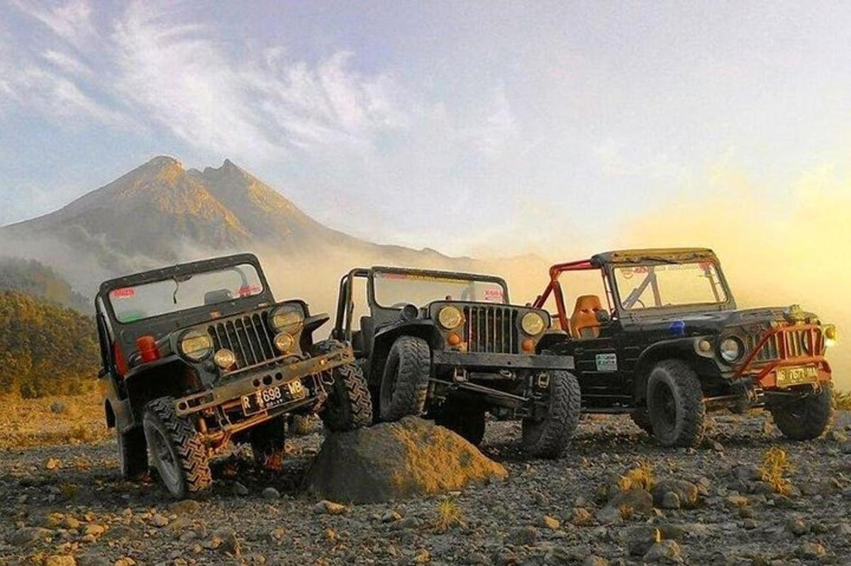 twee jeepneys geparkeerd op een veld met een berg