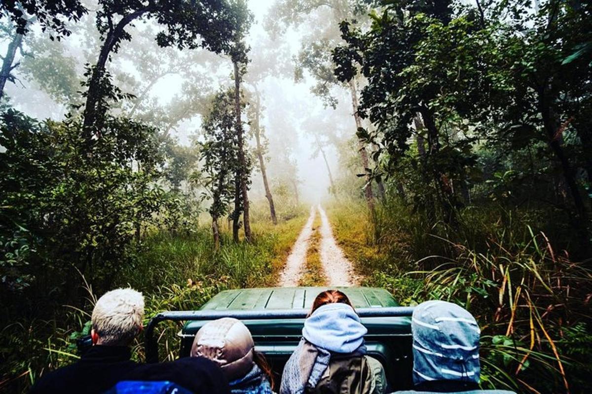 a group of people riding in a truck down a dirt road