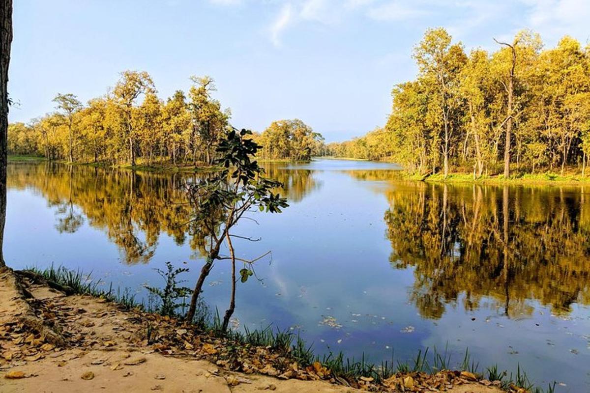 a lake with a tree in the middle of it
