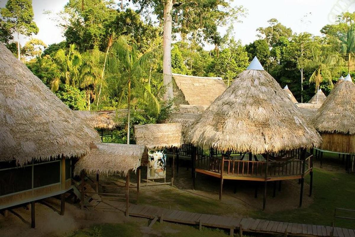a group of huts with straw roofs and trees