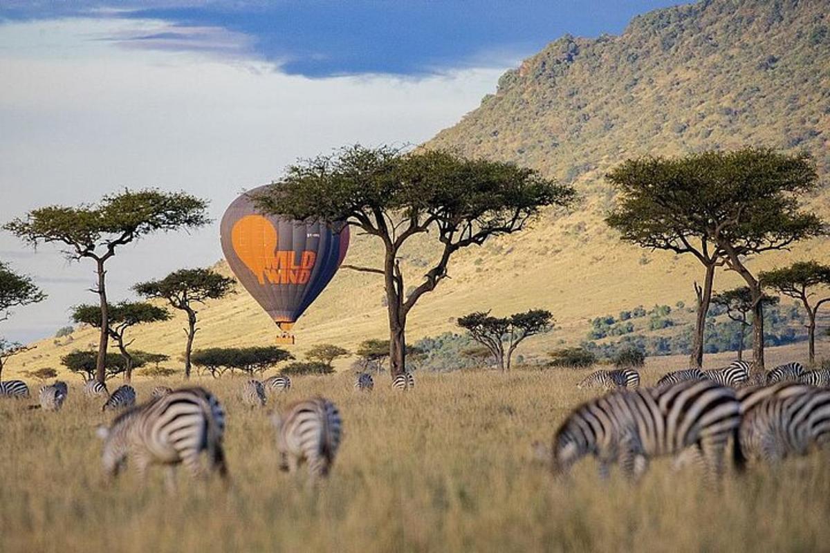 sekelompok zebra sedang merumput di ladang dengan balon udara