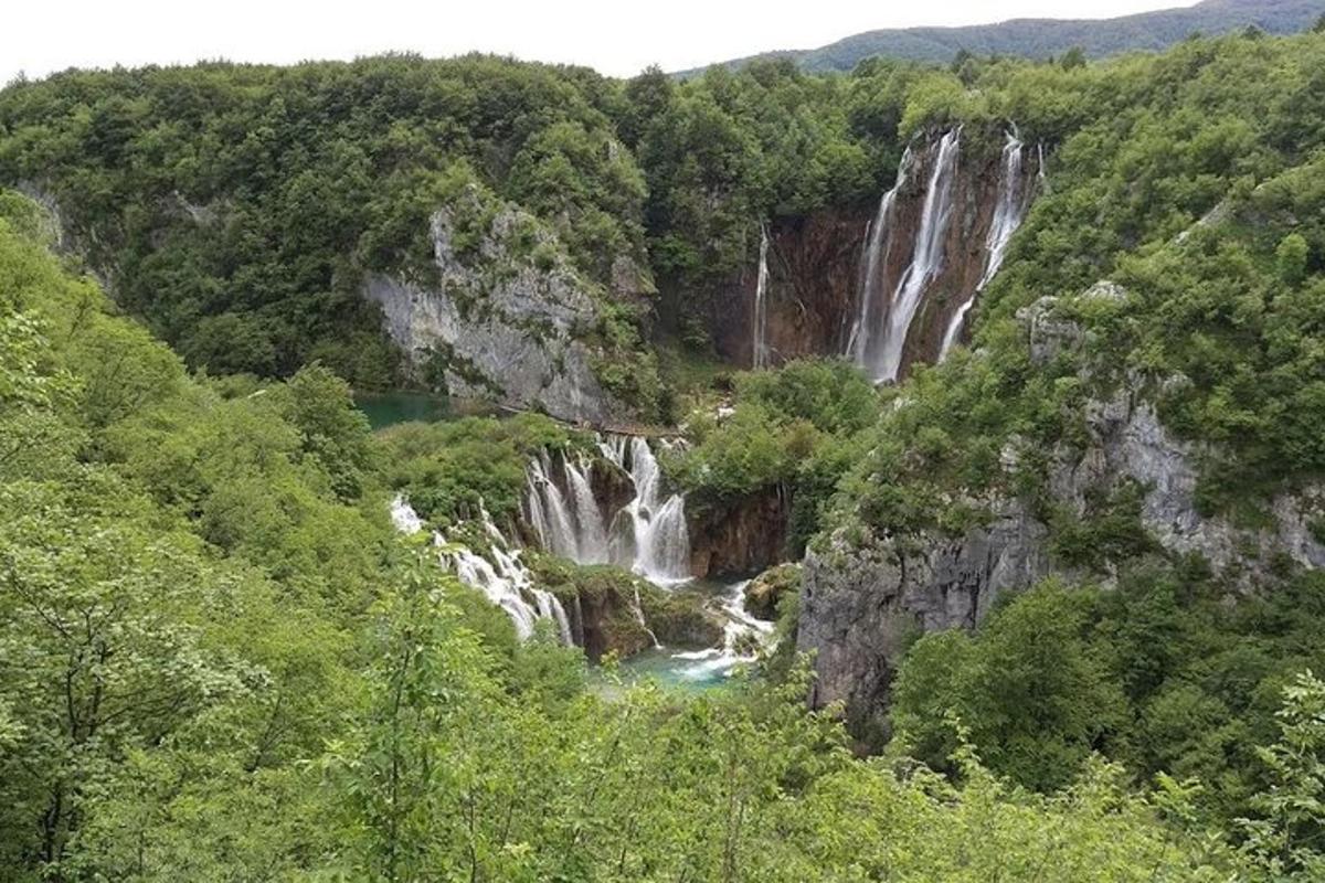 un gruppo di cascate nel mezzo di una foresta