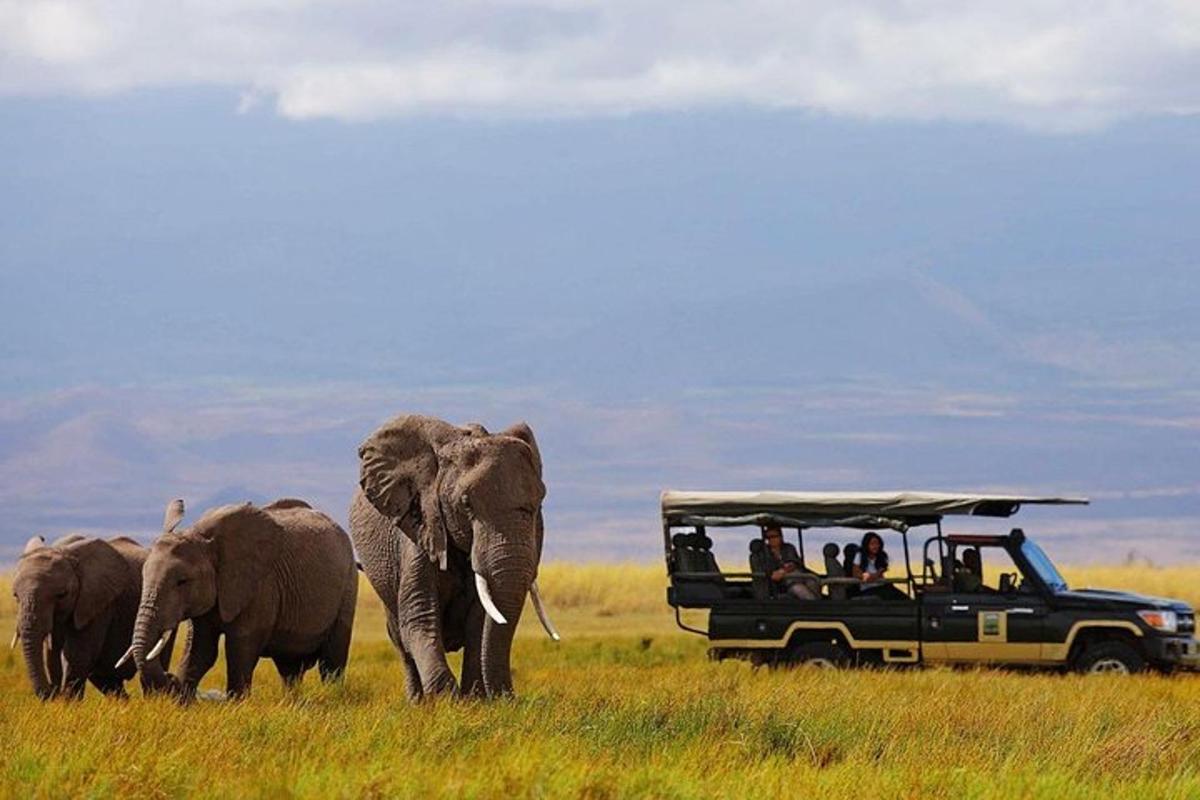 a group of people in a jeep watching elephants