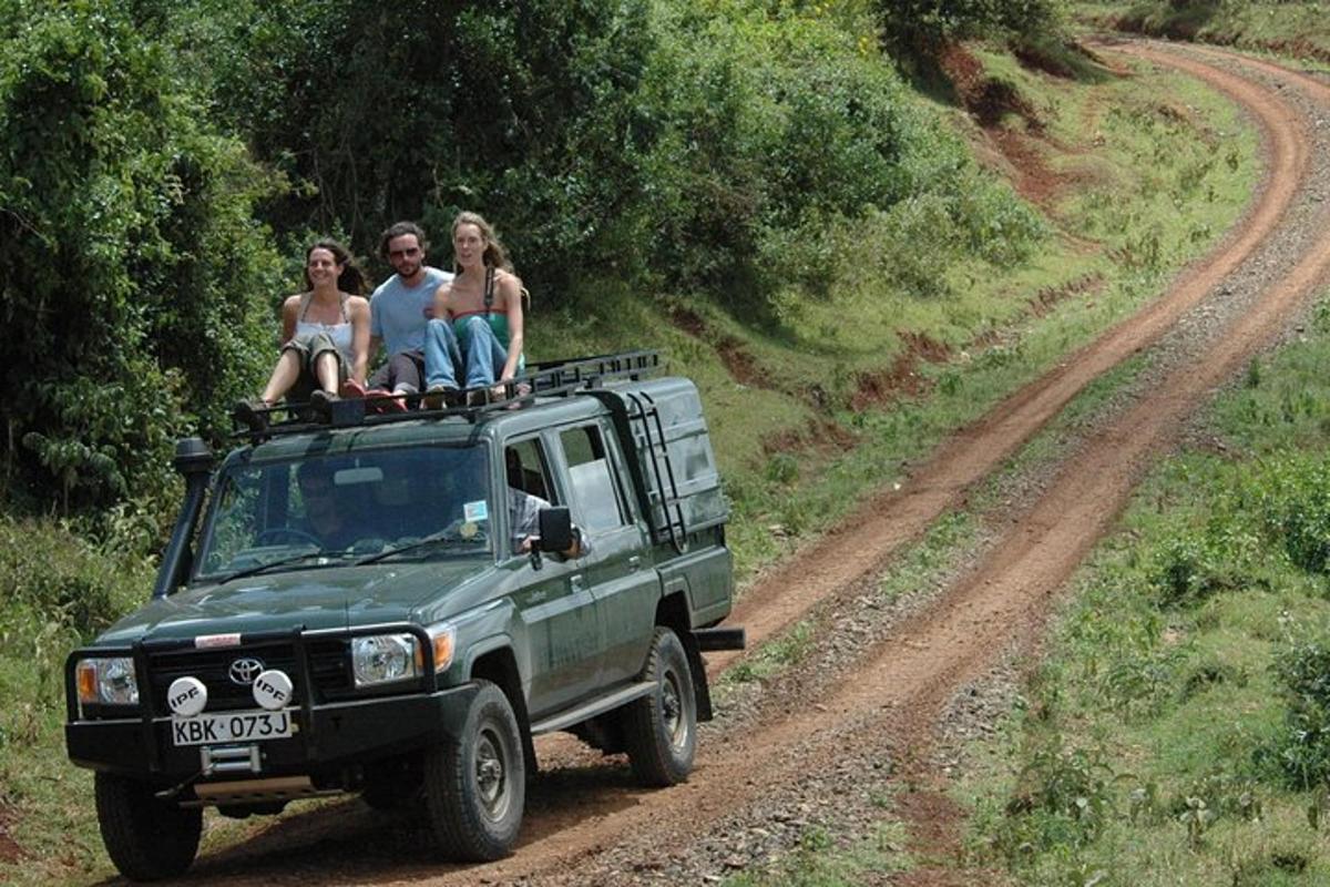 tres persones assegudes a sobre d'un camió verd en un camí de terra
