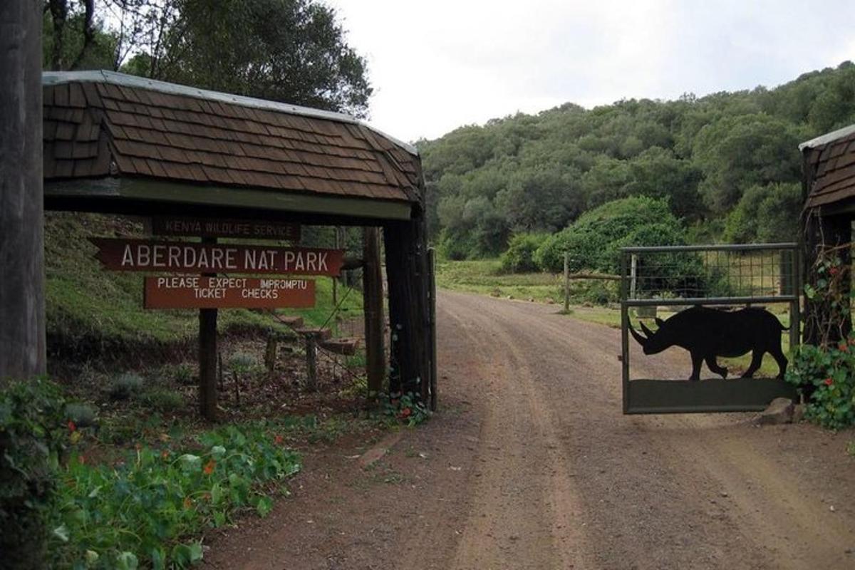una vaca caminant per una porta en un camí de terra