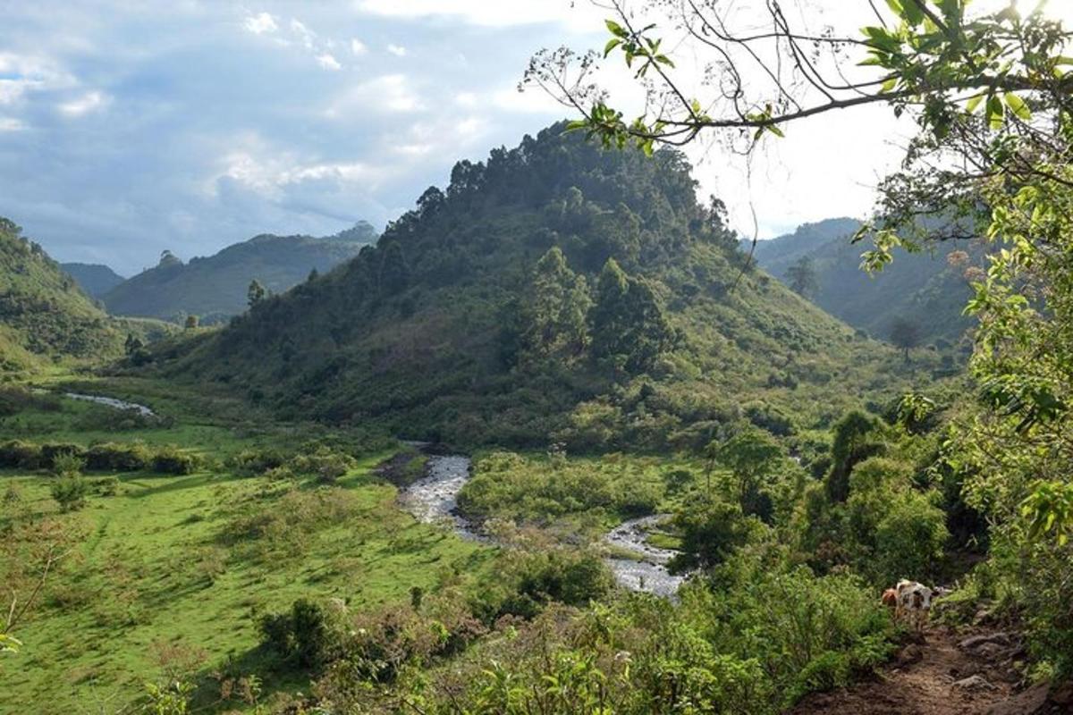pemandangan lembah gunung dengan sungai