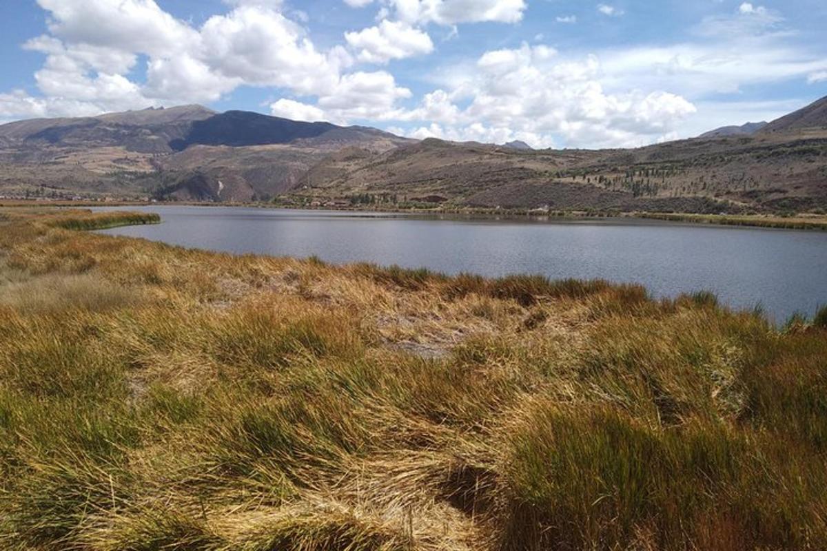 tasik di tengah padang dengan gunung