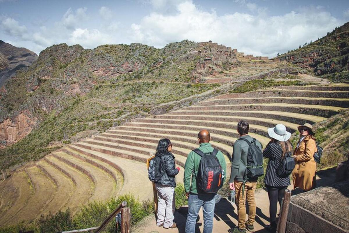 Un grupo de personas de pie en una escalera mirando hacia arriba.