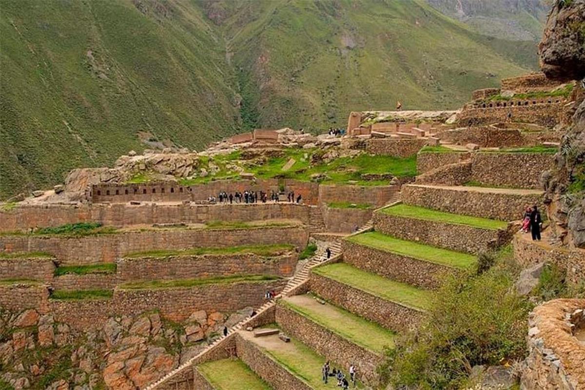 a group of people walking up steps on a mountain