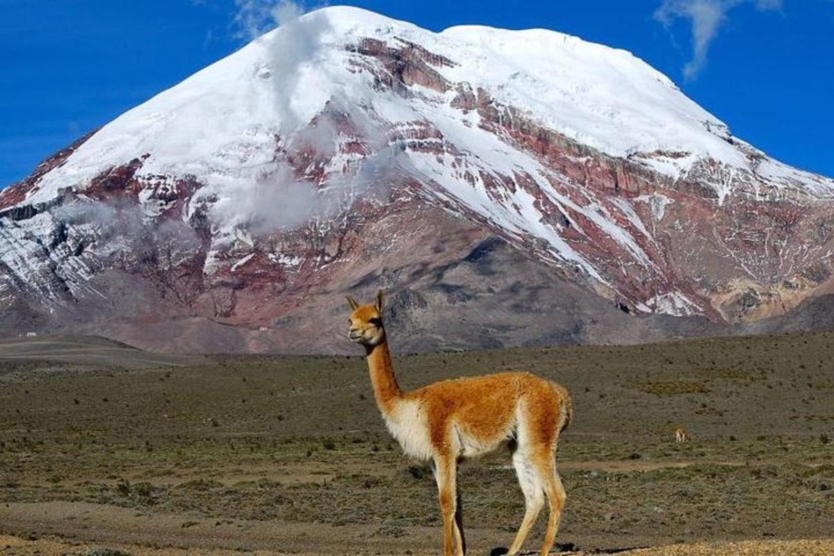 Imagen número 1 de la atracción