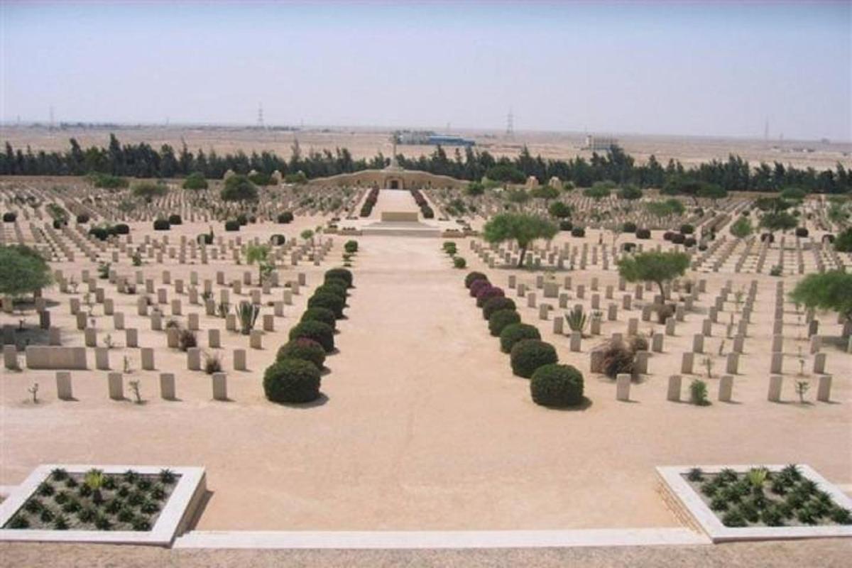 un grande cimitero con cespugli e alberi in un campo