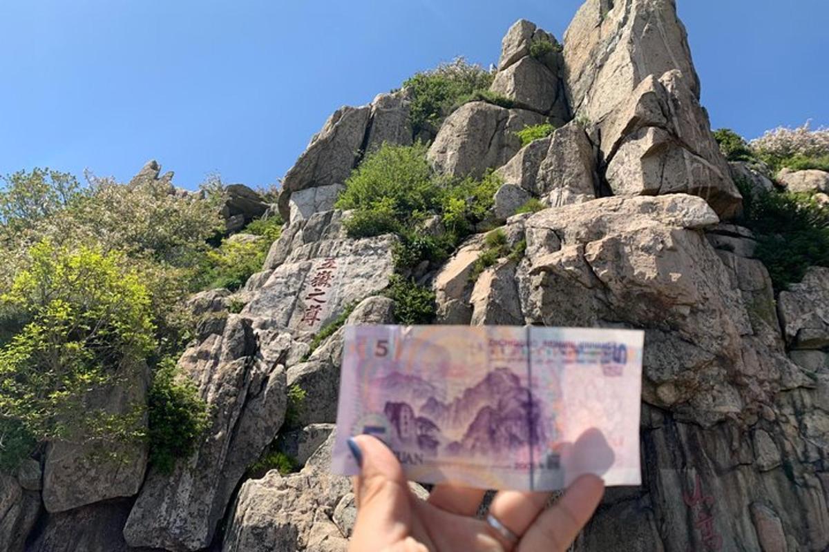 a person holding a magazine in front of a mountain