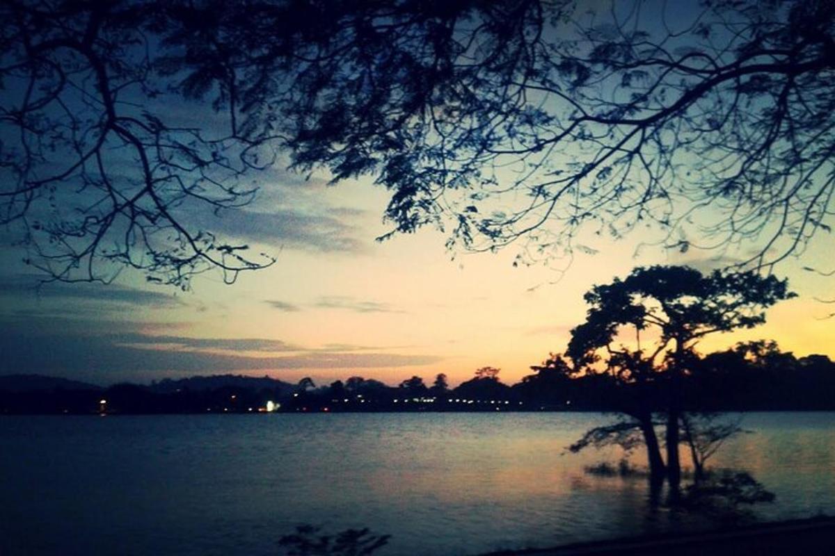 uma árvore no meio de um lago ao pôr do sol