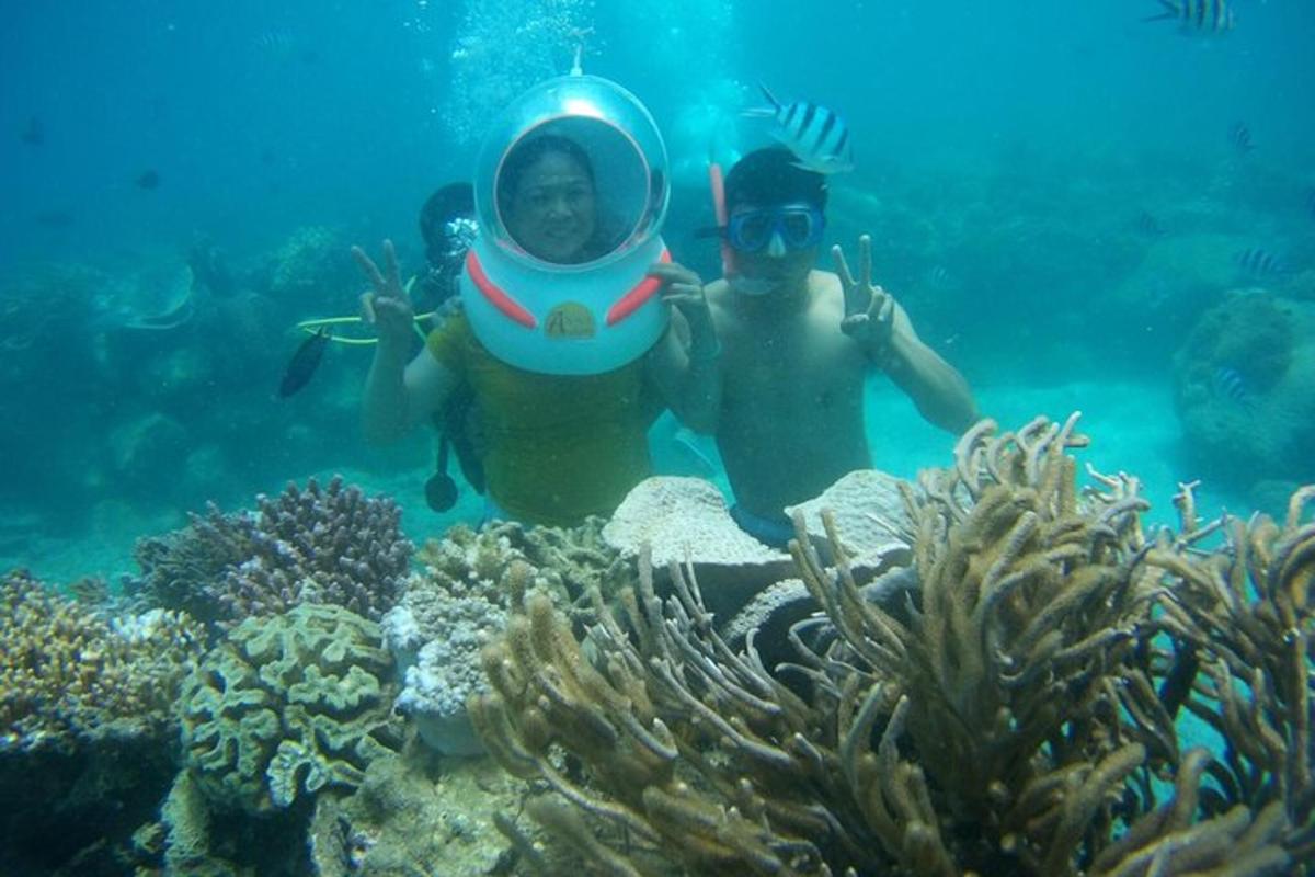 duas pessoas estão paradas na água perto de um recife de coral