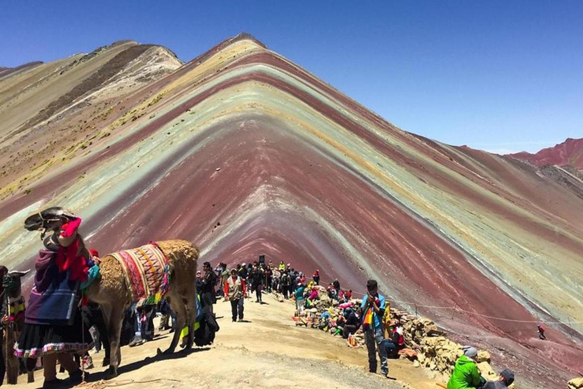 una folla di persone in piedi intorno a una montagna con un cavallo