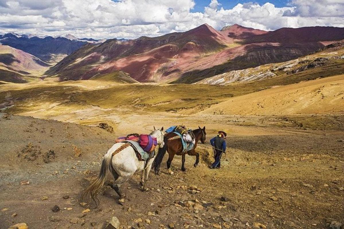 un uomo e due cavalli in piedi su una montagna