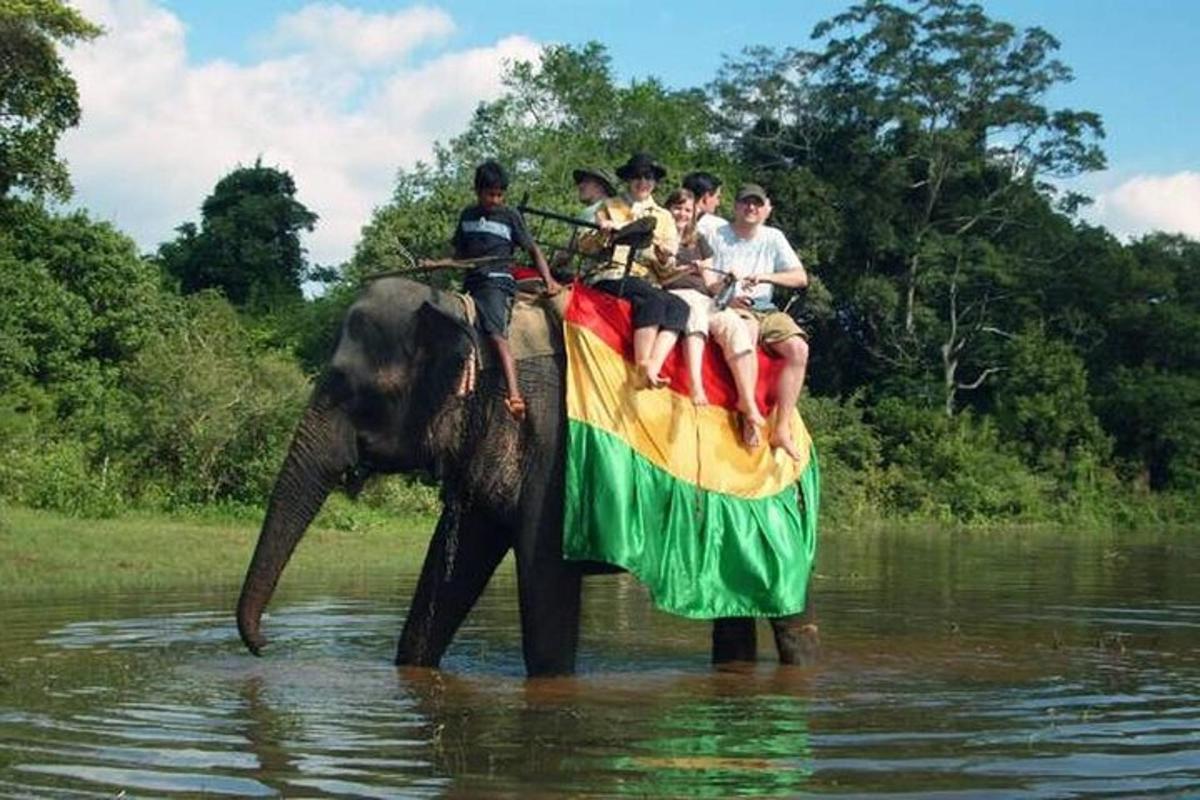 isang grupo ng mga tao na nakasakay sa likod ng isang elepante sa tubig