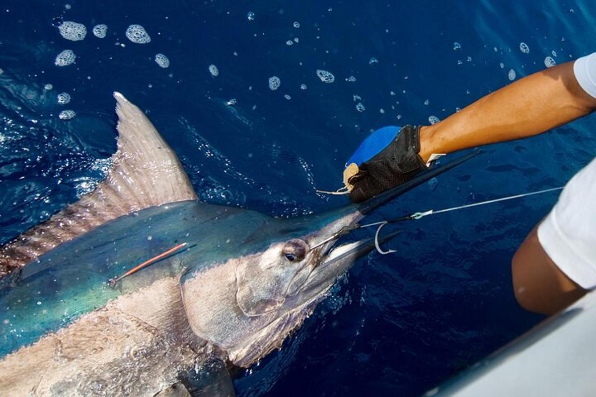 a person holding a large fish in the water