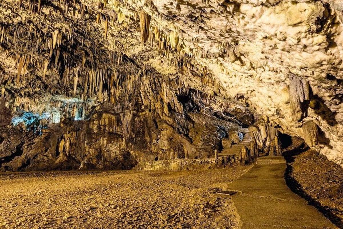a cave with a rock wall and a path in it