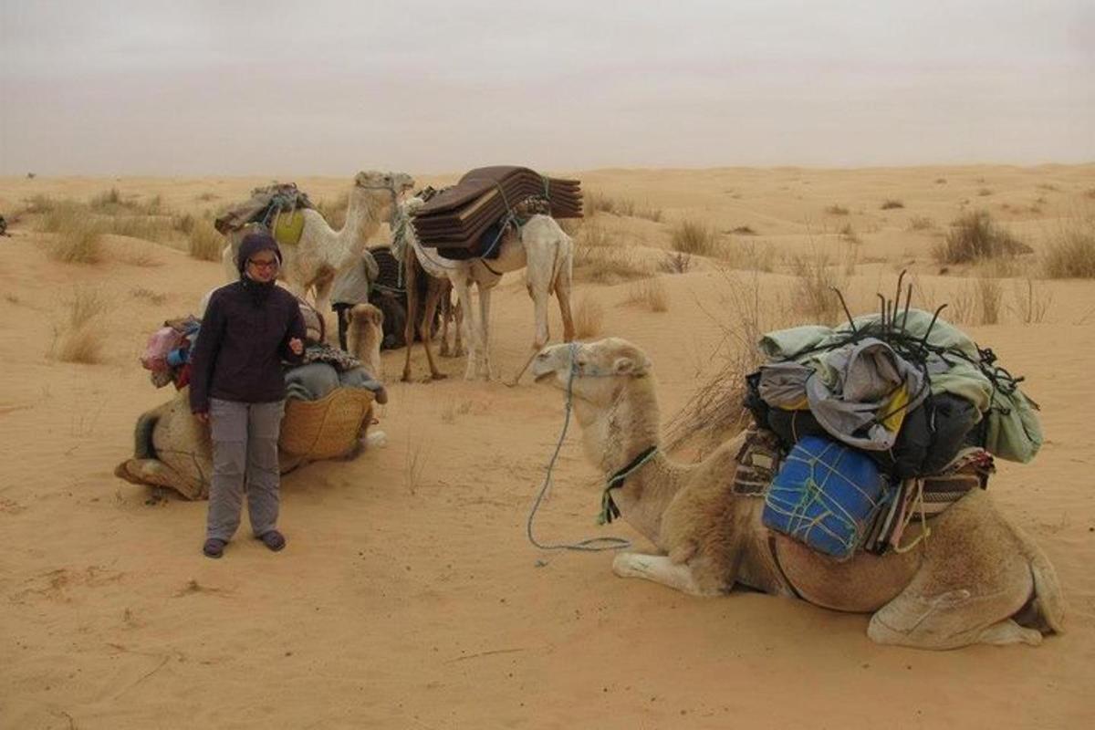 una dona dreta al costat d'un camell al desert