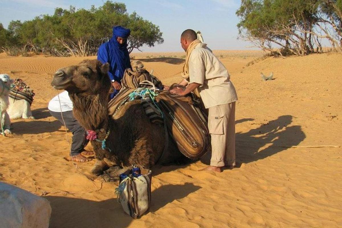 a group of people and a camel in the desert