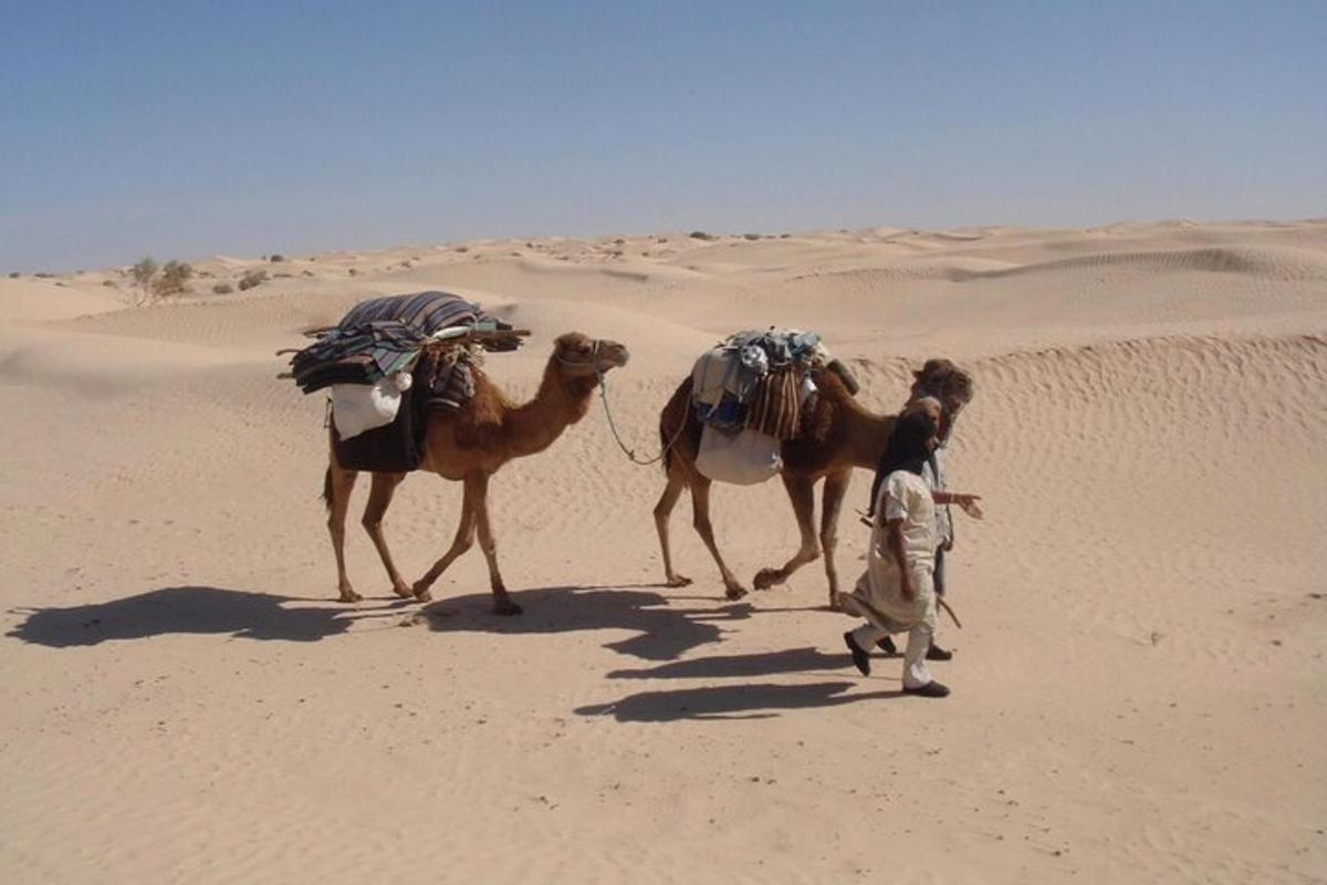 dues persones i dos camells caminant pel desert