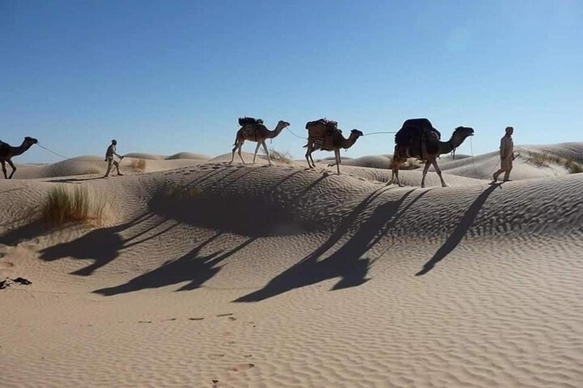 a group of people walking in the desert with camels