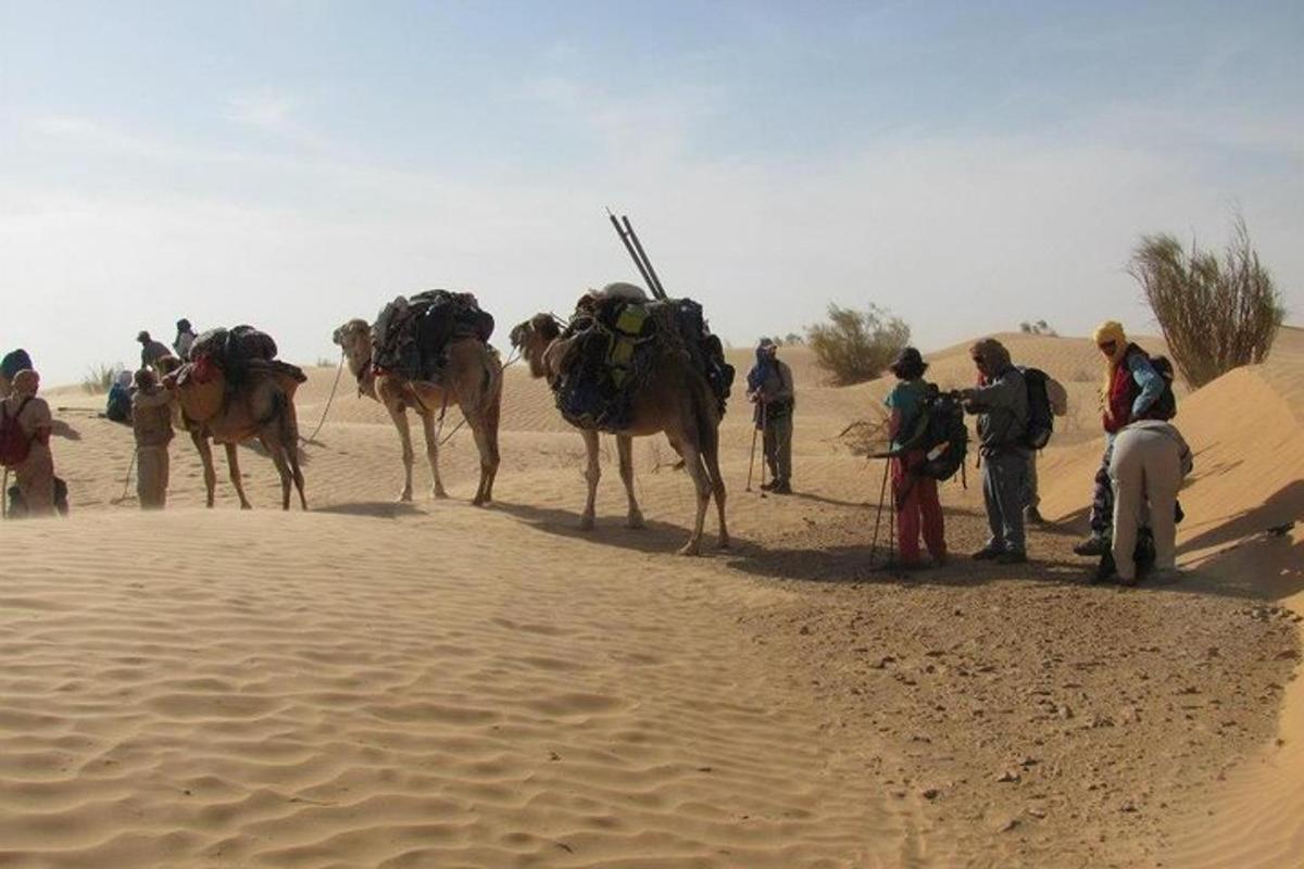 a group of people with camels in the desert