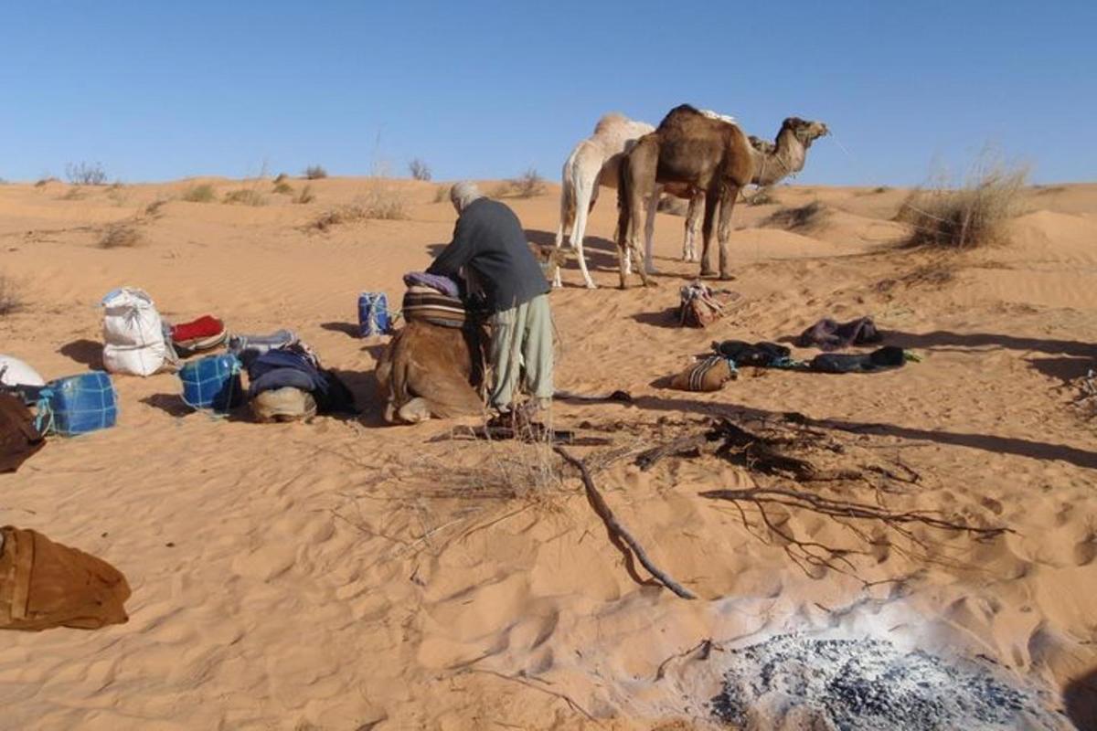 a man standing in the desert with two camels