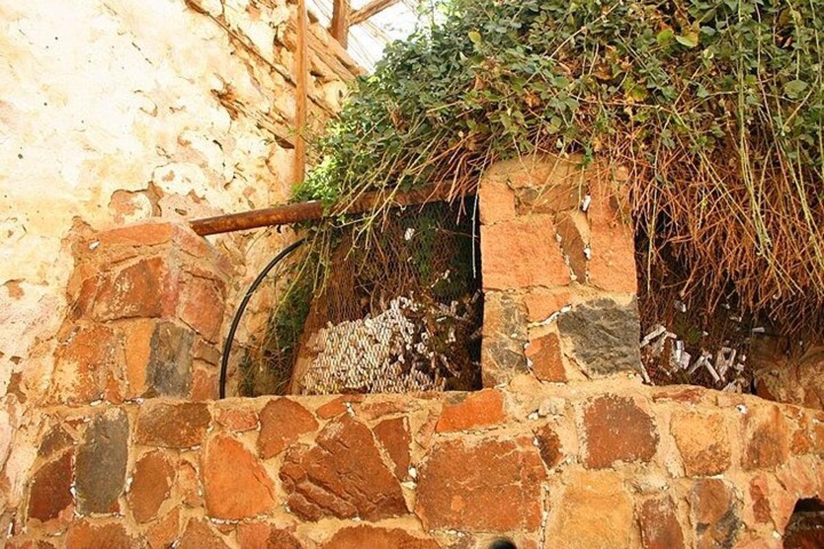 um muro de pedra com plantas em cima