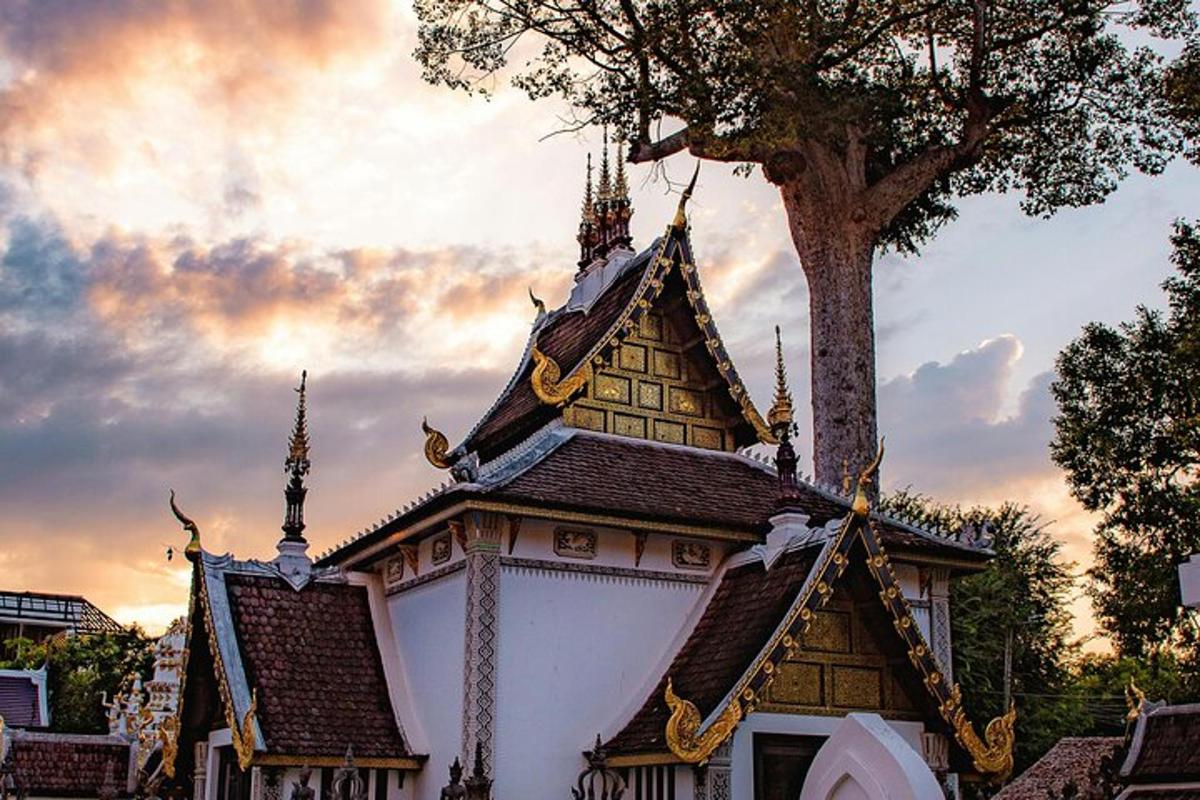 a building with a roof with a tree in the background