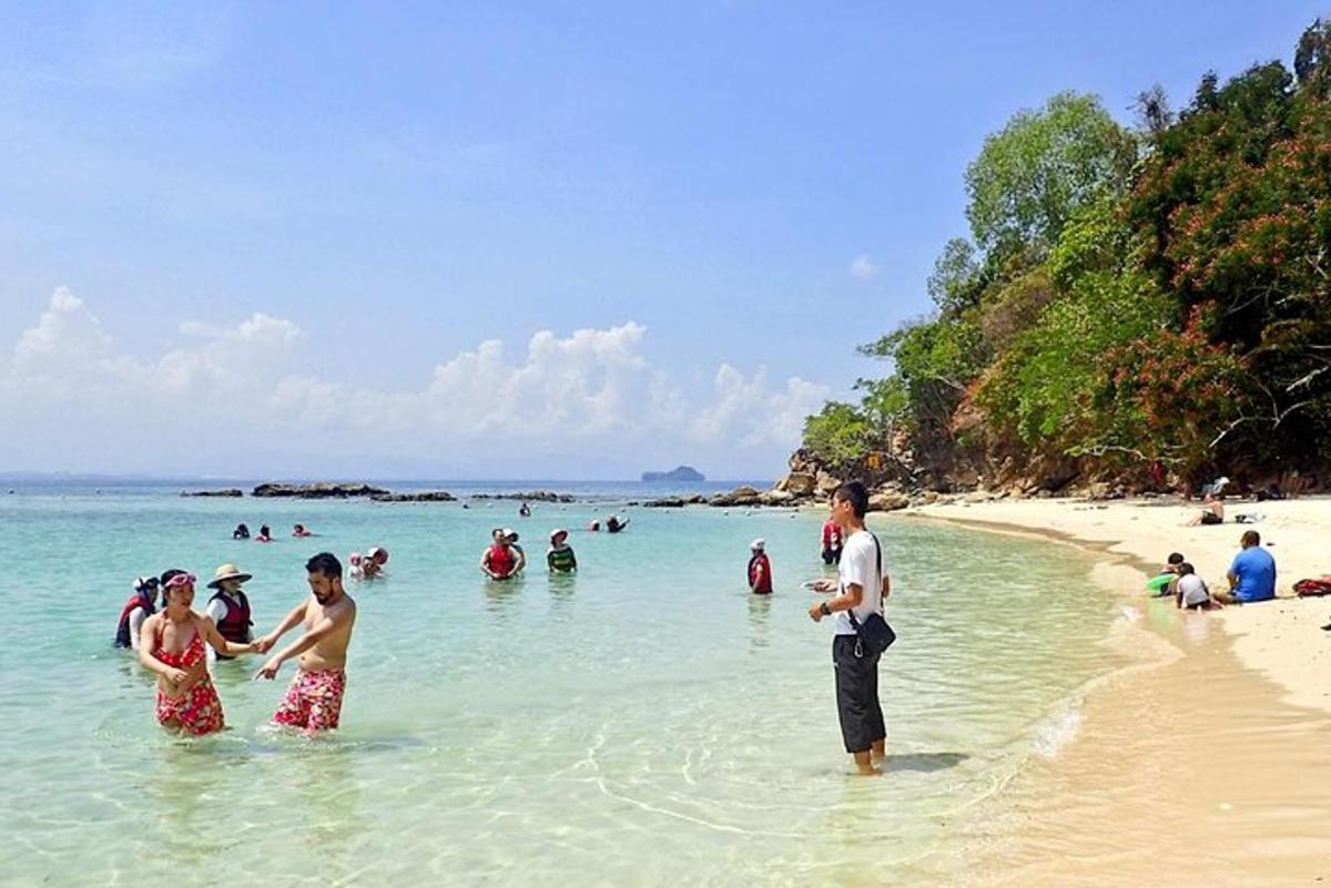 Un grupo de personas en el agua en una playa