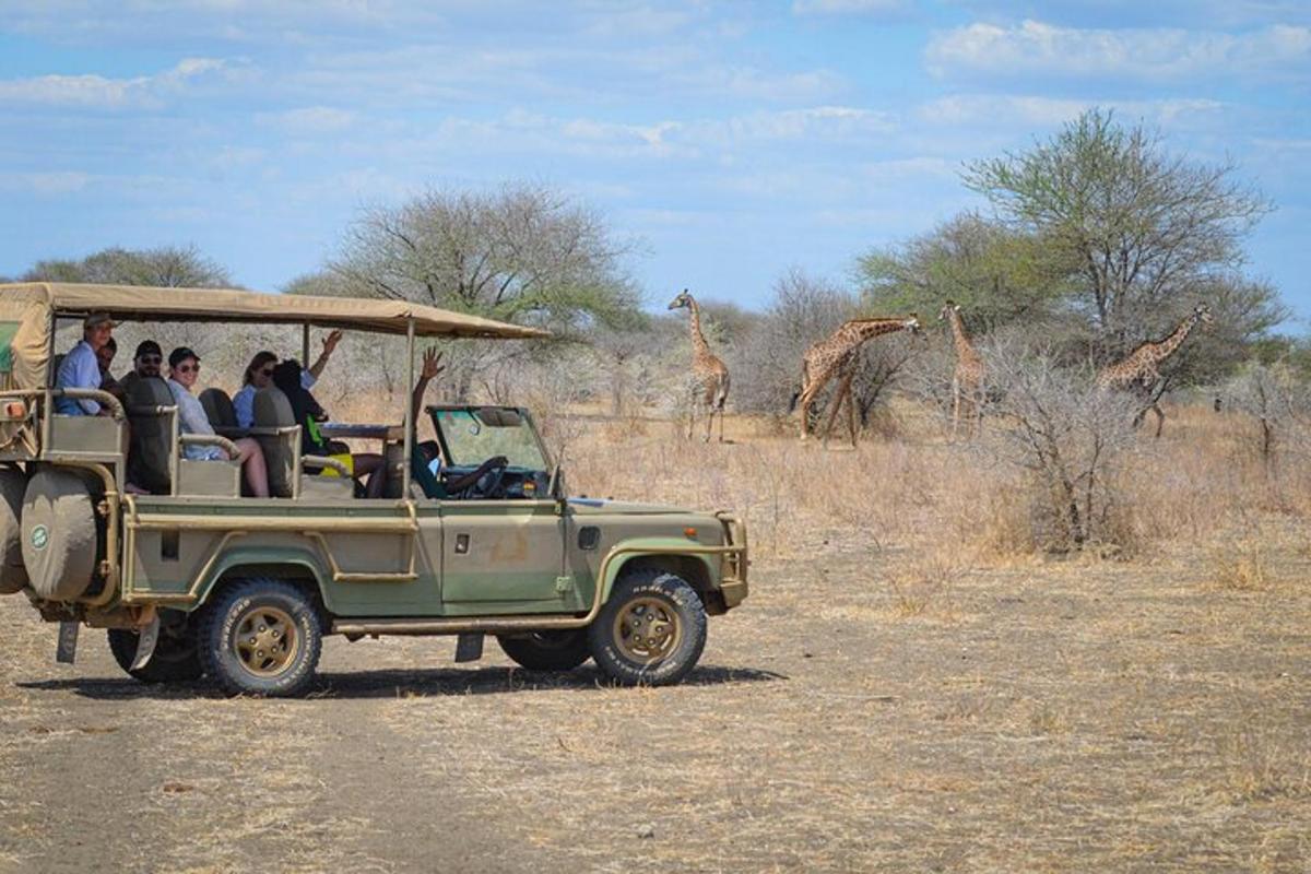 un grup de persones que viatgen en un jeep amb girafes