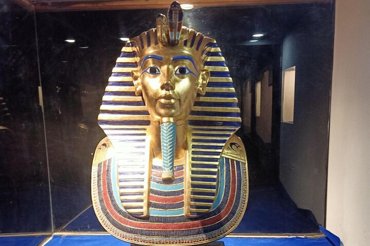 una estàtua d'anubis en una vitrina